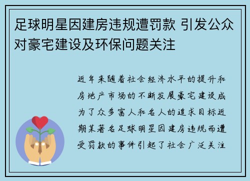 足球明星因建房违规遭罚款 引发公众对豪宅建设及环保问题关注
