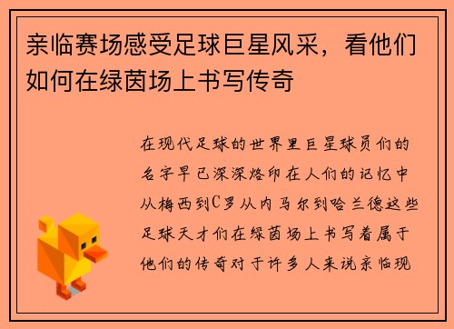 亲临赛场感受足球巨星风采，看他们如何在绿茵场上书写传奇
